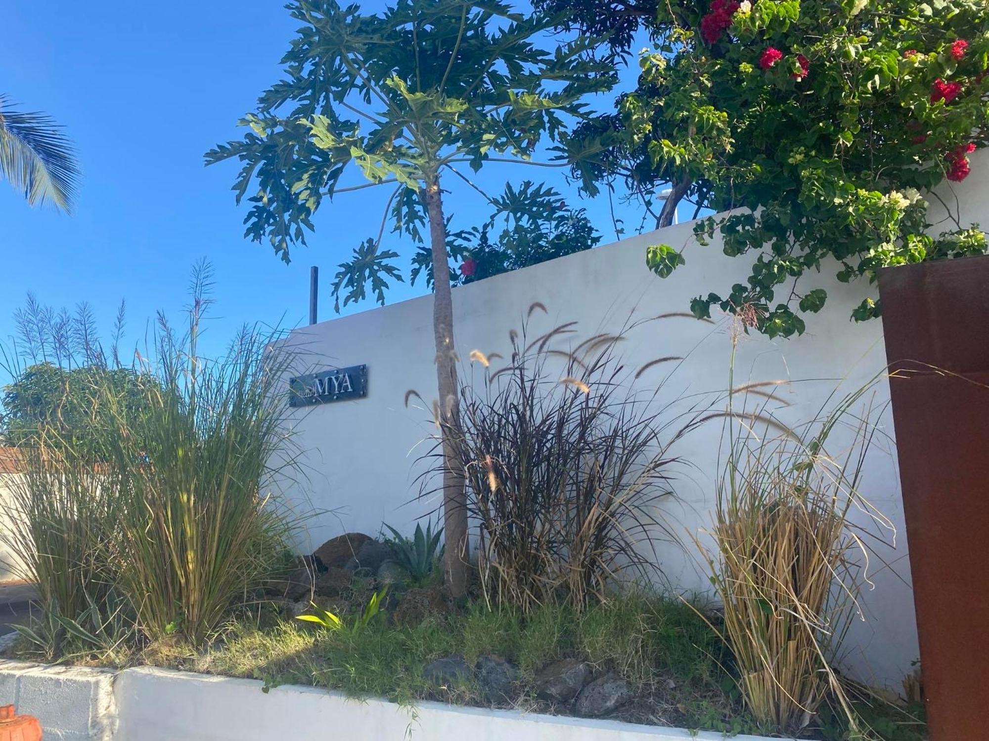 Villa Mya Location Saint Pierre Bagian luar foto
